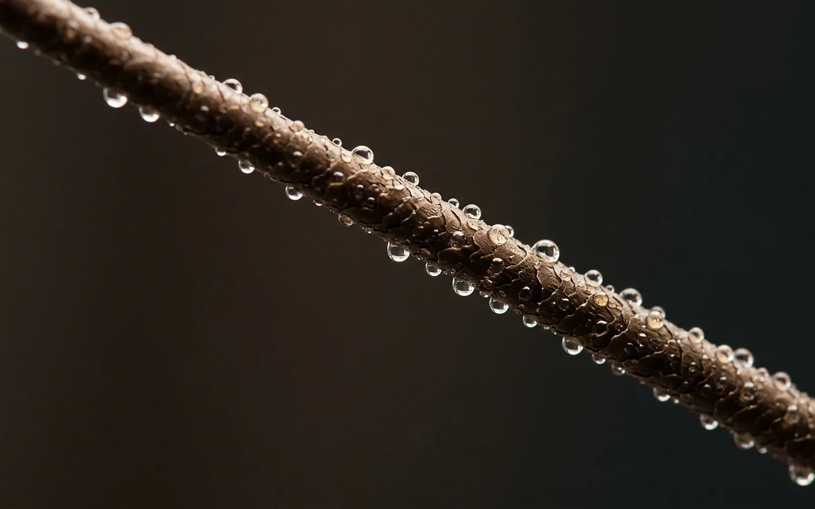 Macro de fios de cabelo com gotas de água evidenciando a superfície da fibra